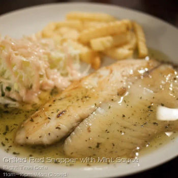 Grilled Red Snapper with Mint Sauce 薄荷烧烤鱼扒