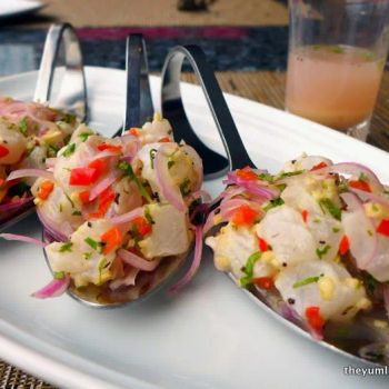 Snapper Ceviche