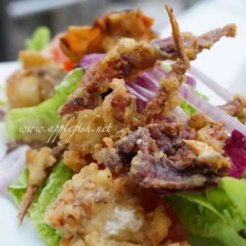 Soft Shell Crab Salad