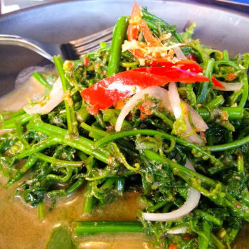 Stir-Fried Paku with Belacan (Pak Kut Phad Gar Pi) 