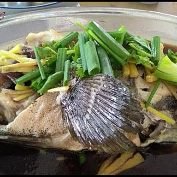 Steamed Fish Head