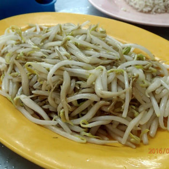 Bean Sprouts