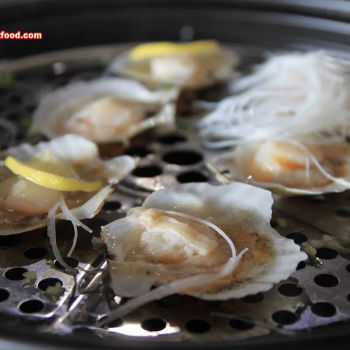 New Zealand Scallops