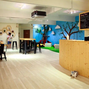 Purradise Cat Cafe