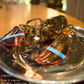 Lobster