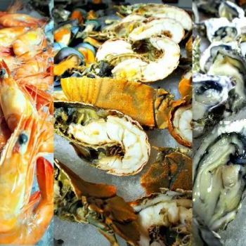 Seafoods