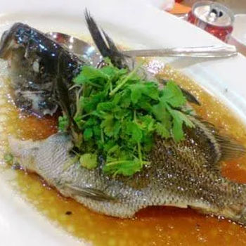 Steamed Red Snapper