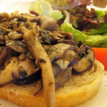 Mushroom Brushetta