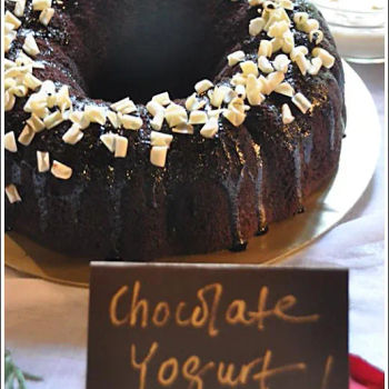 Chocolate Yogurt