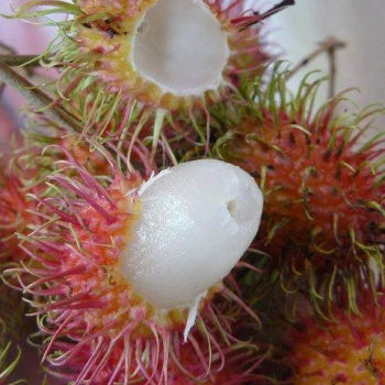 Rambutan with yar bak