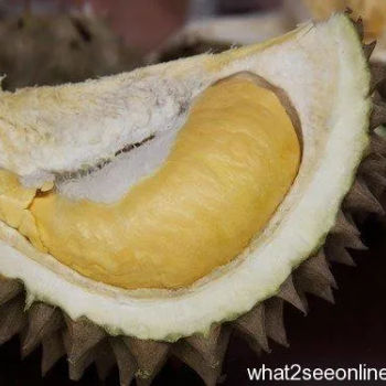 Durian