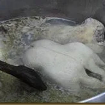 Boiling Duck Soup