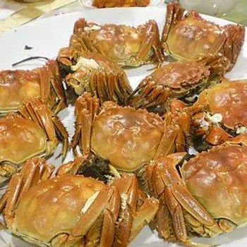 Hairy crabs