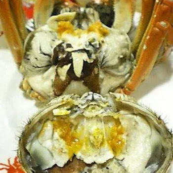 Hairy Crab