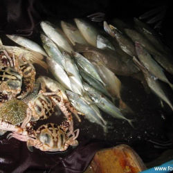 Phuket Delight Food Centre