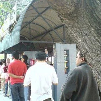 Exterior Environment