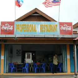 Professional Restaurant