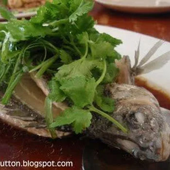 Steamed Aussie Jack Pearl fish