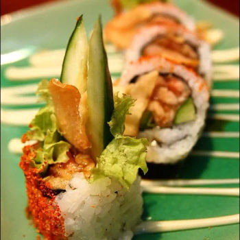 Teriyaki Chicken Roll