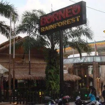 Borneo Rainforest