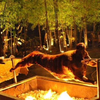 grilled lamb (whole)