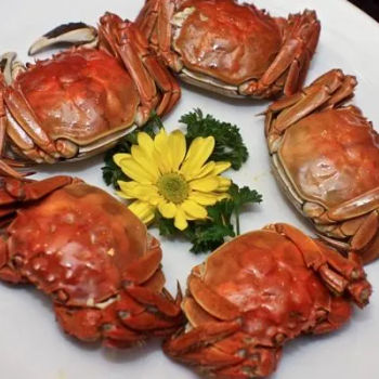 Steamed Hairy Crab