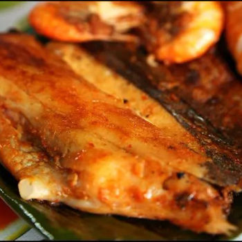 Ikan Pari