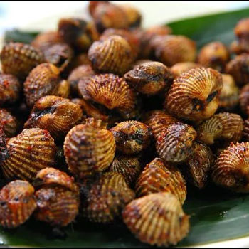 Kerang Bakar