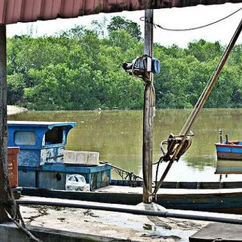 Exterior Environment