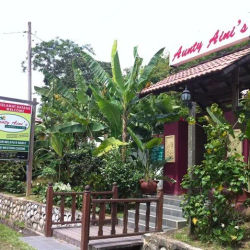 Aunty Aini’s Garden Café
