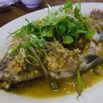 Steam Talapia