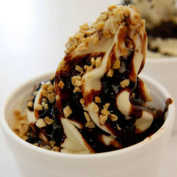 Choc Peanut Soy Ice Cream
