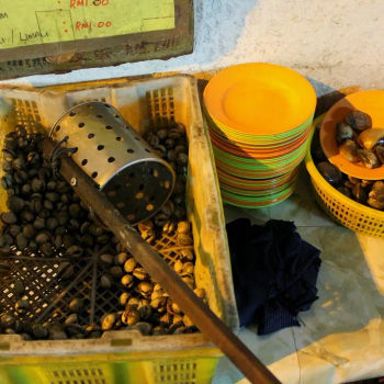 Fresh Clams and Cockles