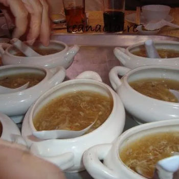 Shark Fin Soup