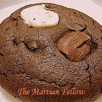The Martian Fellow
