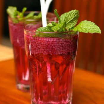 Basil Seed Mint Soda