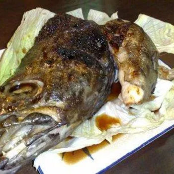 Cod Fish Head