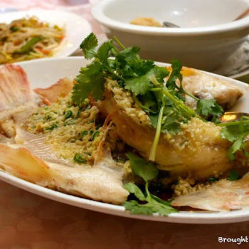 Steamed Red Tilapia in Minced Ginger