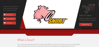 screenshot of snort