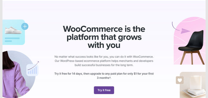 screenshot of woocommerce