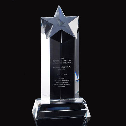 sg awards