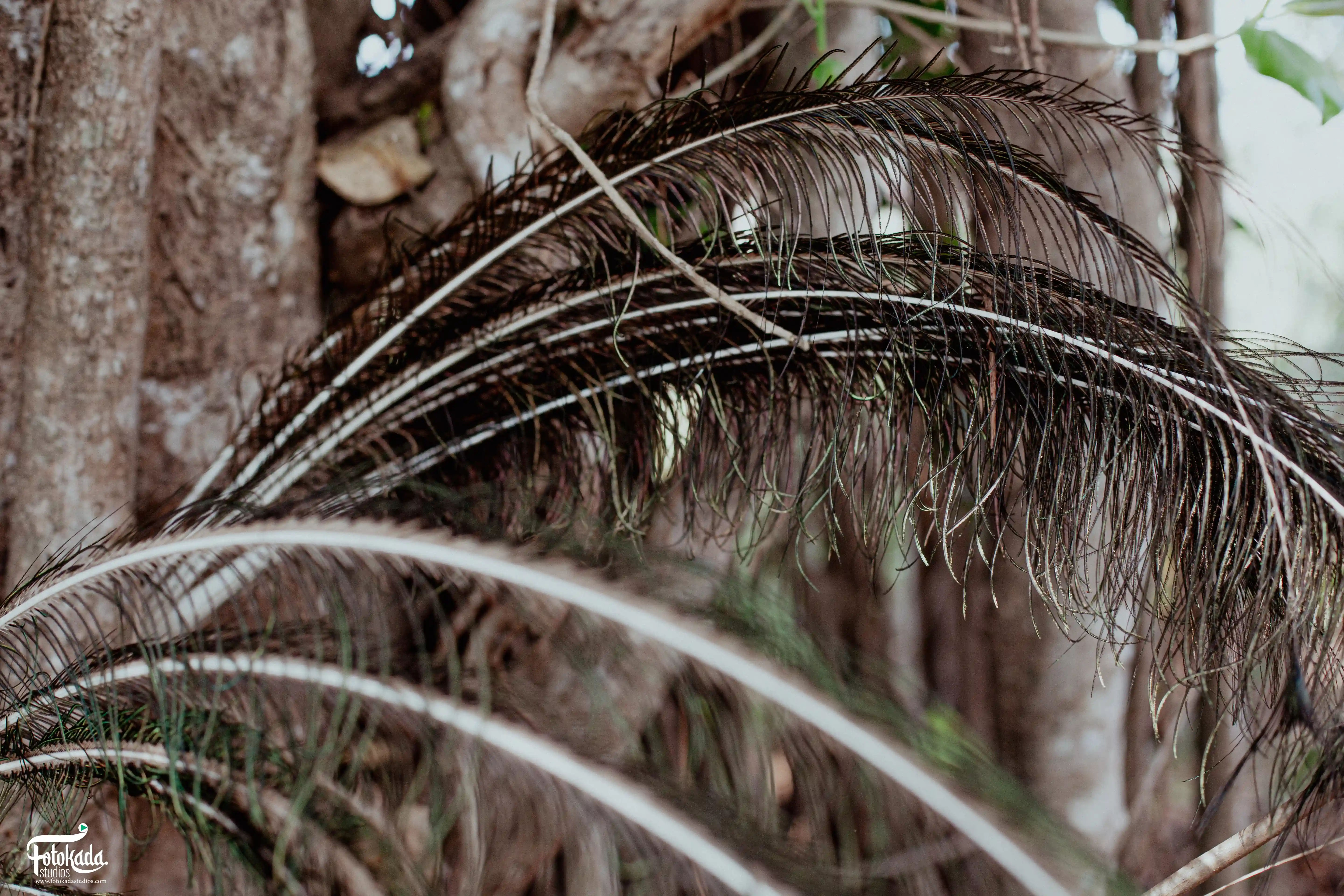 Destination-wedding-photography-by-fotokada-studios (1)
