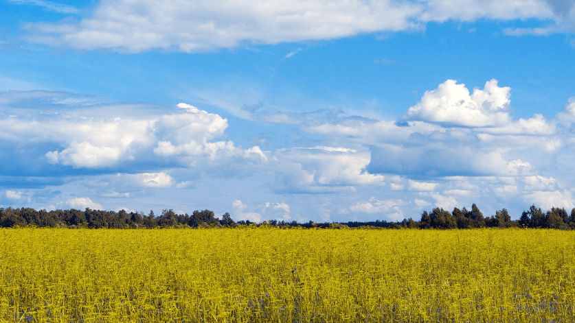 Salgsanbefaling for raps (10.03.2026)