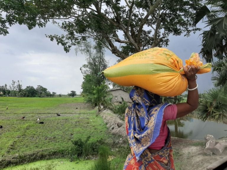 Earth Day 2023. The Sundarbans Reforestation Project