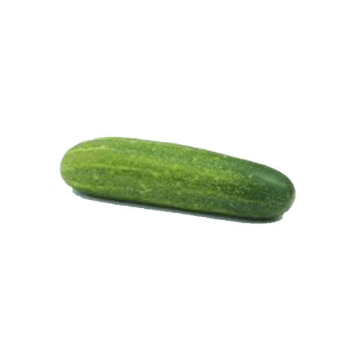 Indian Cucumber