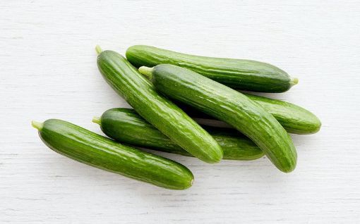 Persian Cucumber