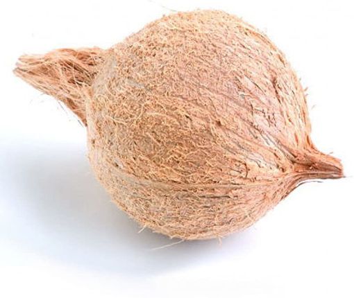 Puja Coconut