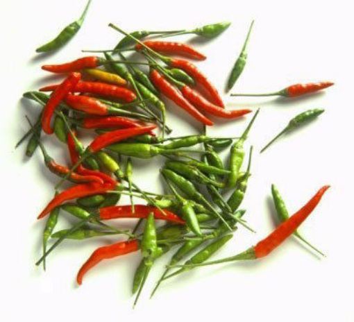 Thai chili