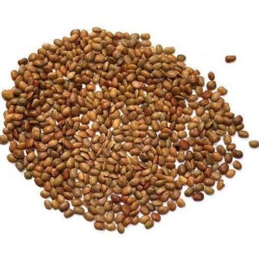 DHARTI HORSE GRAM 2LB