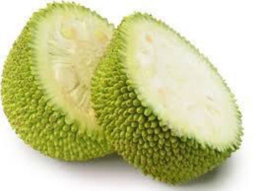 JACK FRUIT GREEN